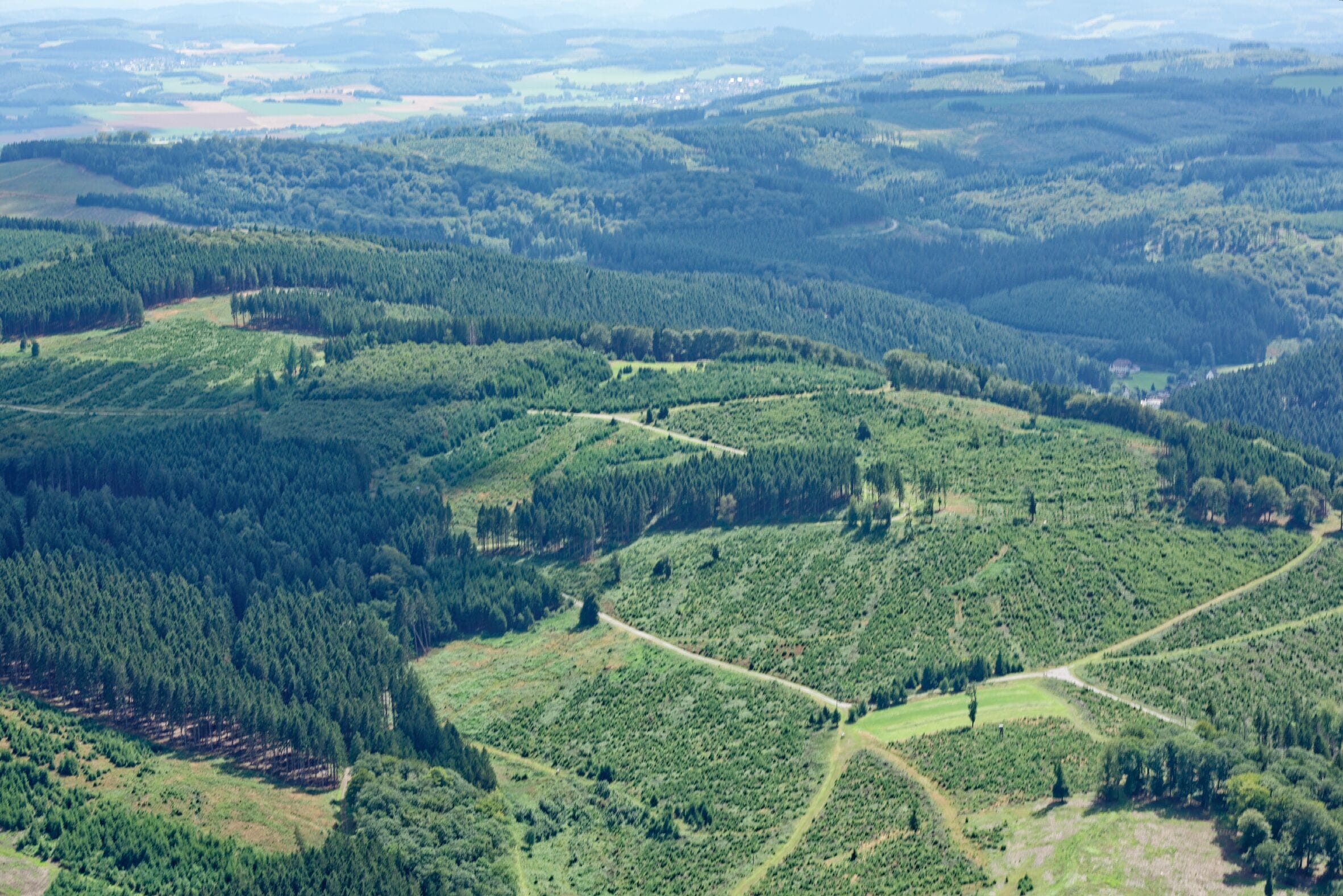 A vast landscape with dense forests, rolling hills, and a winding road.