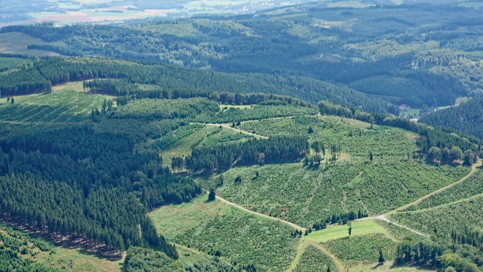 A vast landscape with dense forests, rolling hills, and a winding road.