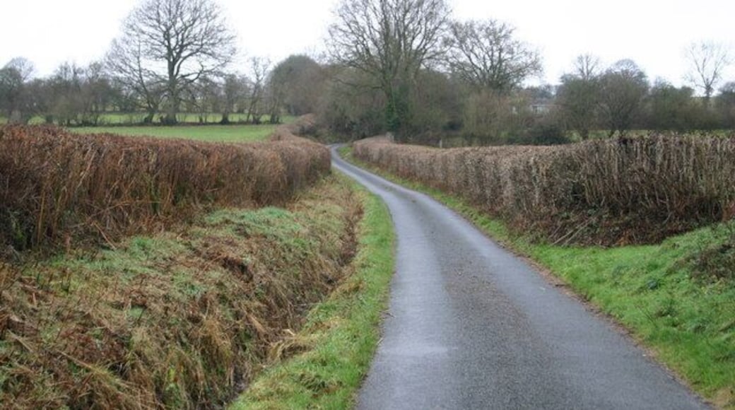 Lane up to Llwyncynog Lane from Talachddu up to Llwyncynog