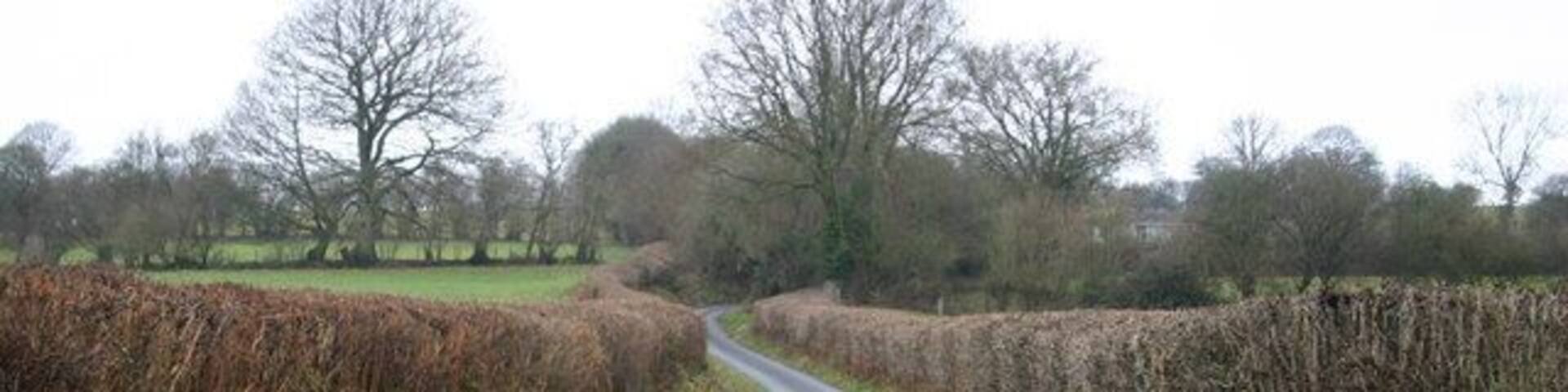 Lane up to Llwyncynog Lane from Talachddu up to Llwyncynog