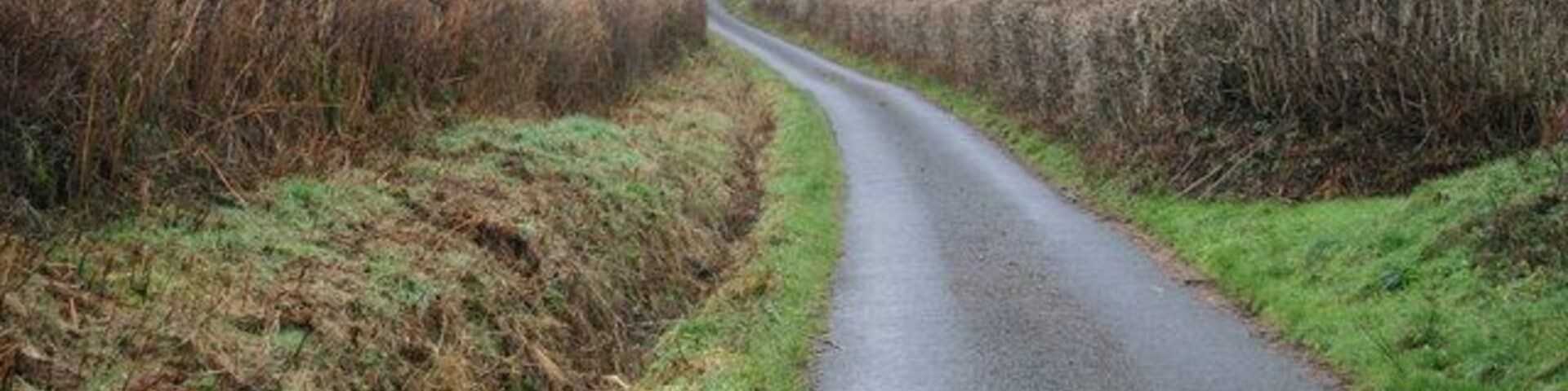 Uma estrada rural estreita ladeada por sebes e campos.