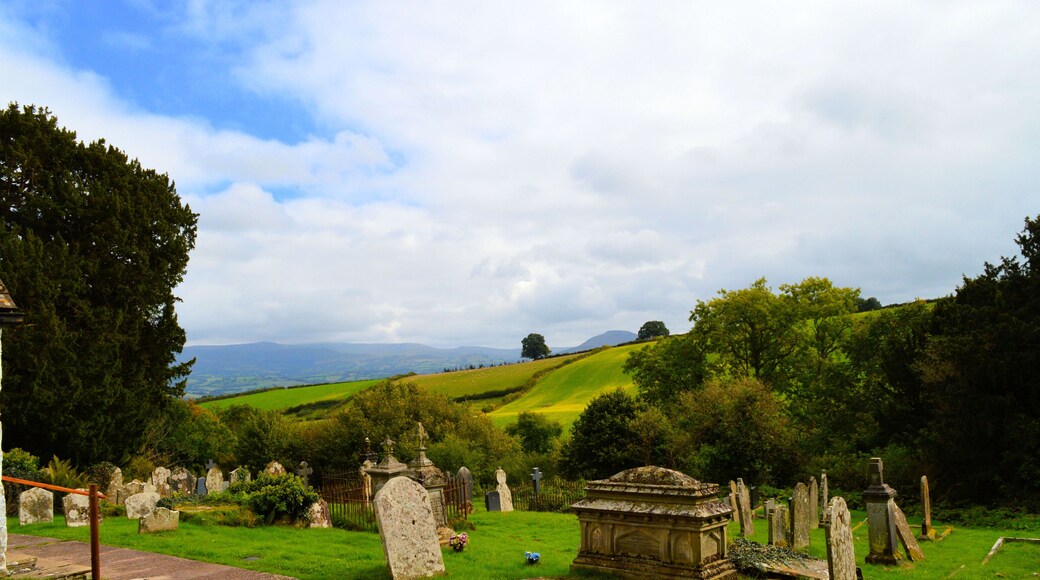 The churchyard, St Maelog, Llandefalle