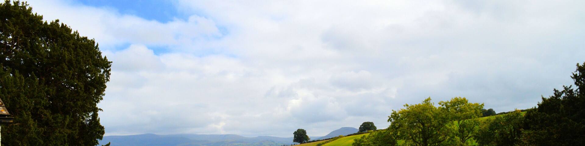 The churchyard, St Maelog, Llandefalle