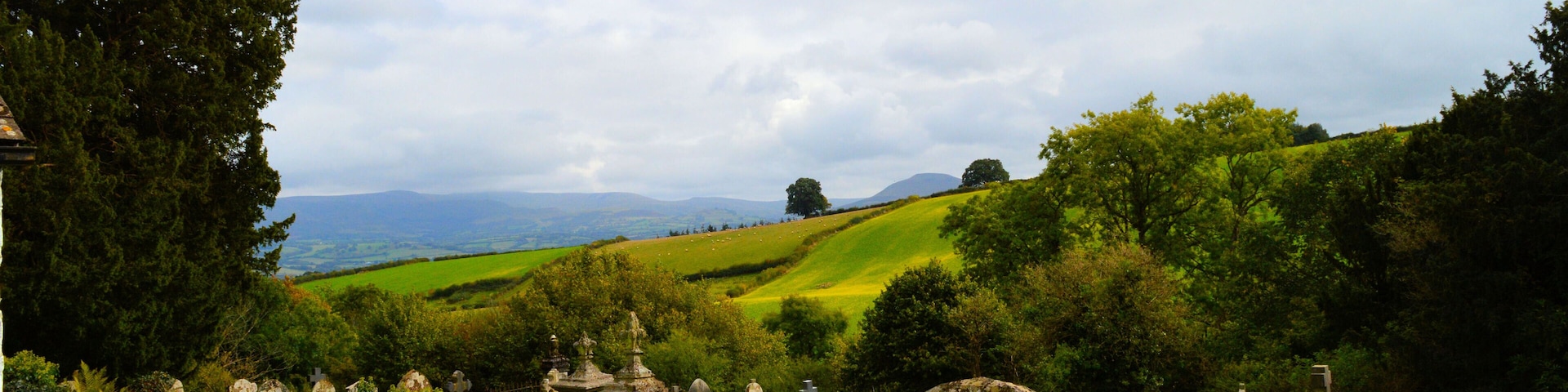 The churchyard, St Maelog, Llandefalle