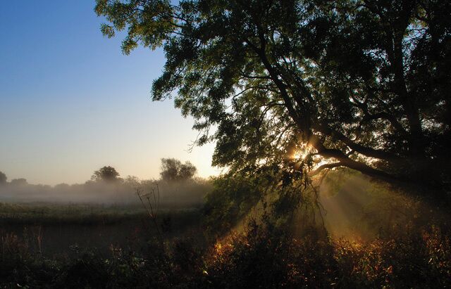 River Swale, close to Thornton Bridge, autumn morning mist