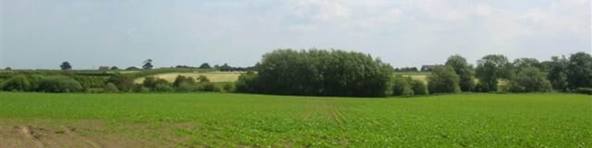 Outside Newton upon Ouse. Farmland on the west of Newton upon Ouse.
