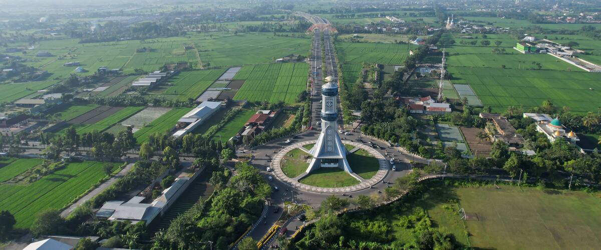 An aerial view of a city with a prominent tower, green fields, and distant mountains.