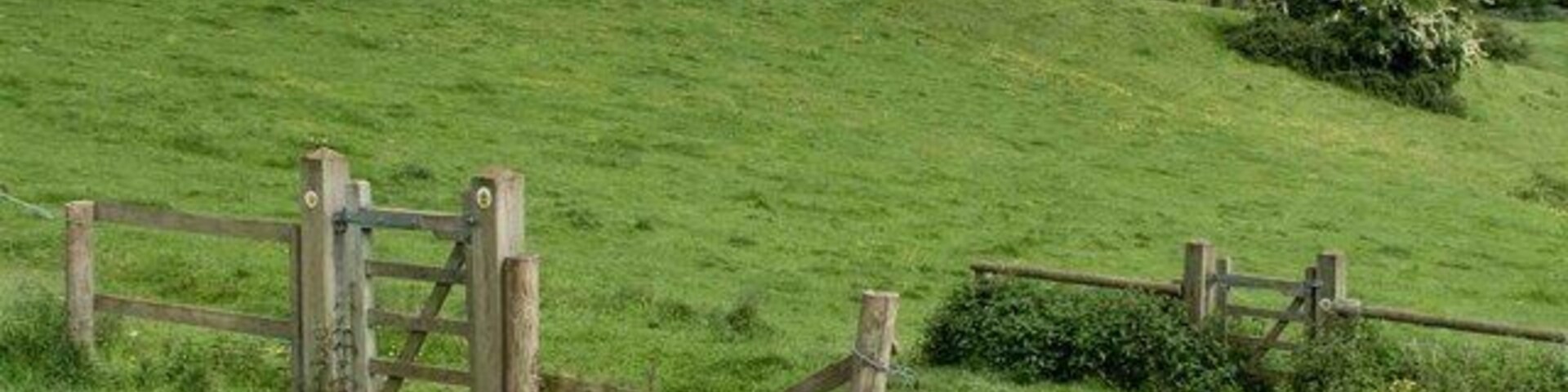 A rural landscape with rolling green hills, a wooden gate, and a fence.
