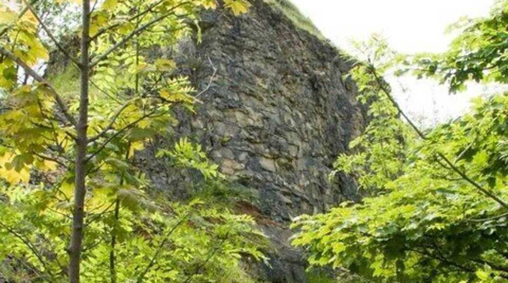 Quarry, Scottsquar Hill Cotswold quarries are usually undulating hollows and seldom have cliffs like this one.
