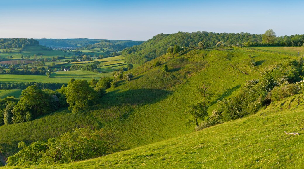 Rolling green hills, a winding road, and a distant village.