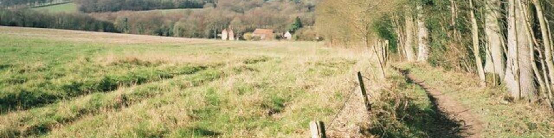 Footpath towards Upfolds Farm Holmbury Hill rising in the background.