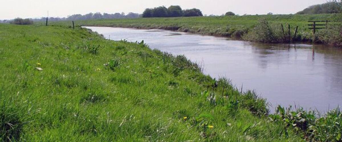A river flowing through a grassy landscape with trees in the background.