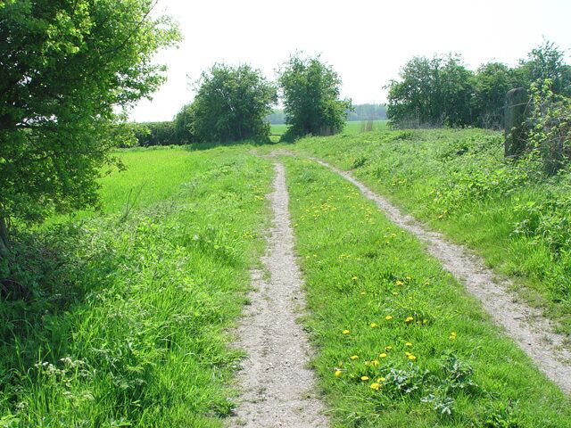 Track to Blackwood Hall Farms, Bubwith, East Riding of Yorkshire, England. This route is probably older then the disused railway line from which it was photographed.