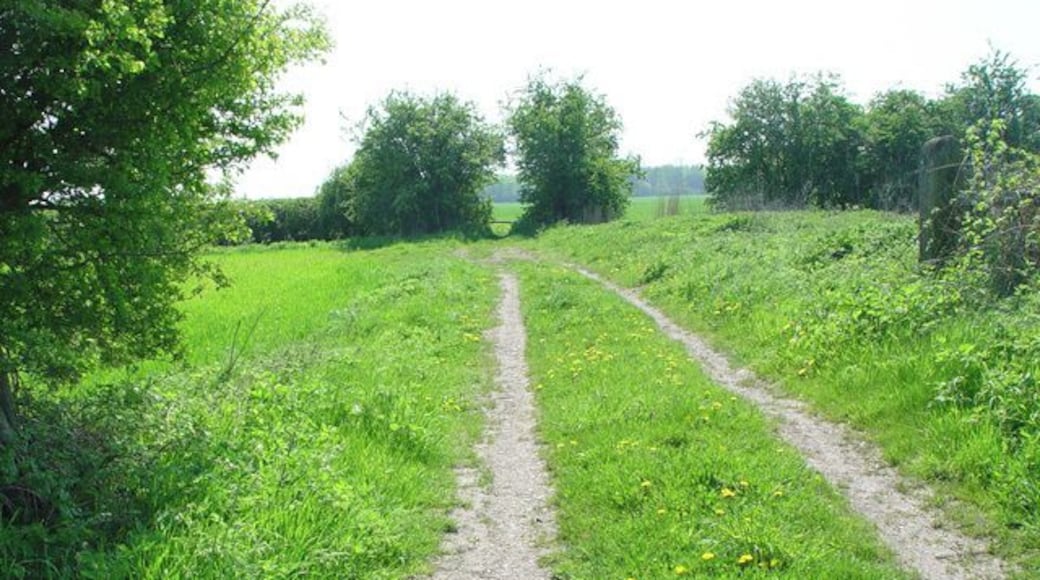Track to Blackwood Hall Farms, Bubwith, East Riding of Yorkshire, England. This route is probably older then the disused railway line from which it was photographed.