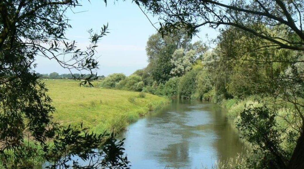 River Derwent south of Bubwith, East Riding of Yorkshire, England. . Image taken from the eastern bank of the river looking upstream.