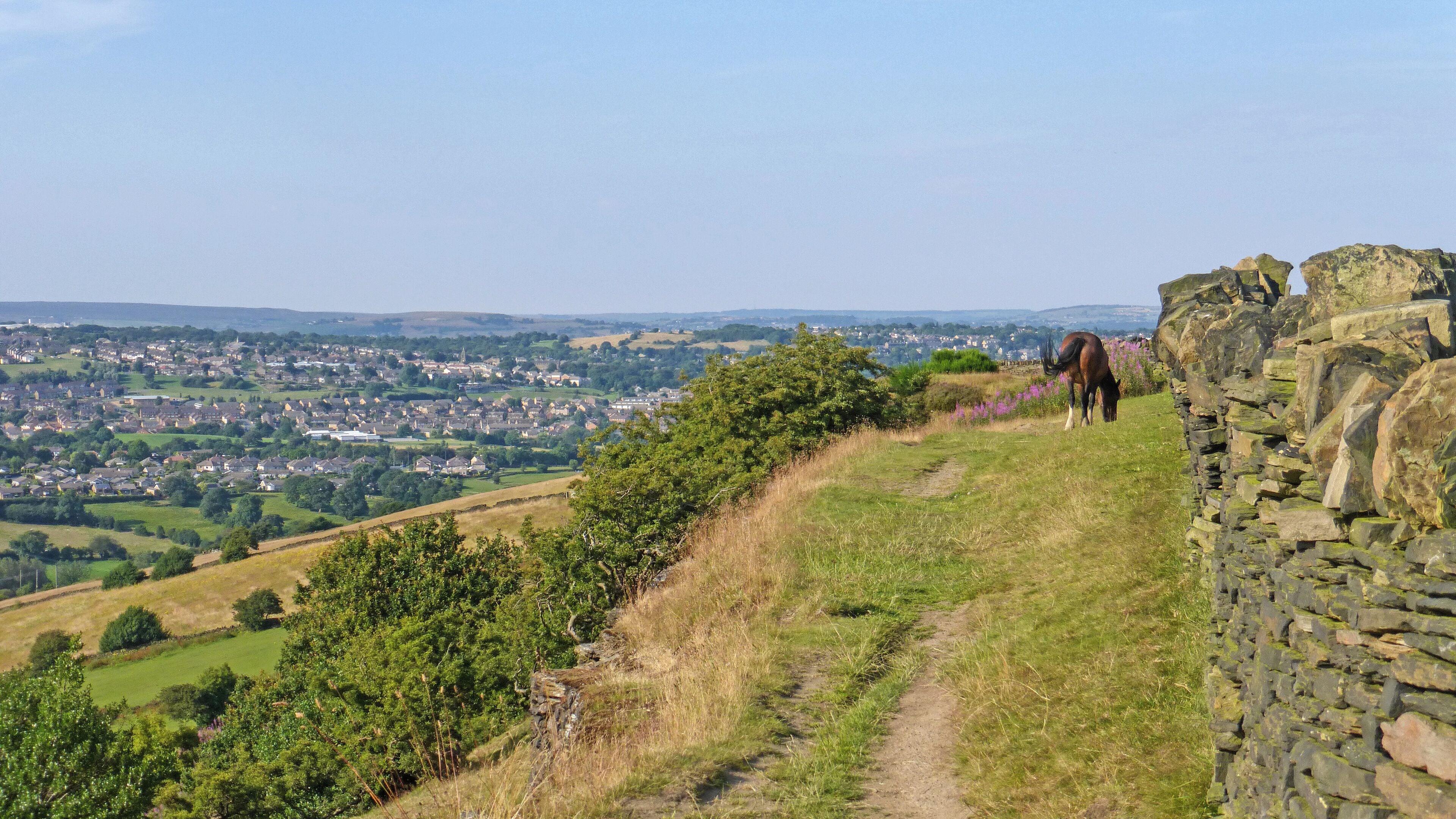 A horse grazing on a grassy hillside with a stone wall and a view of a town in the distance.