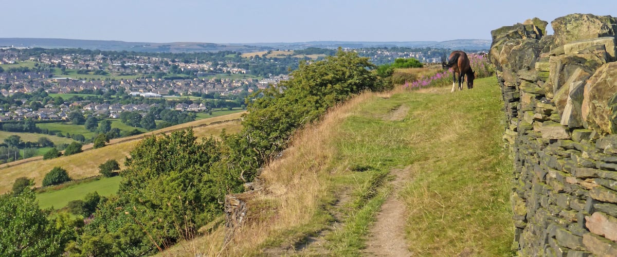 A horse grazing on a grassy hillside with a stone wall and a view of a town in the distance.