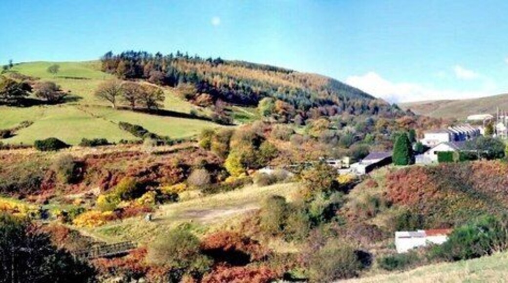 Abercerdin Forest - a panorama The area in the foreground was once a colliery which has now been reclaimed, part of Evanstown shows on the right of photo.It is a panorama made up of 2 photos