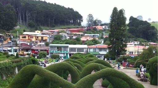 Parque de zarcero