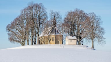 Igreja coberta de neve rodeada por árvores sem folhas numa colina.