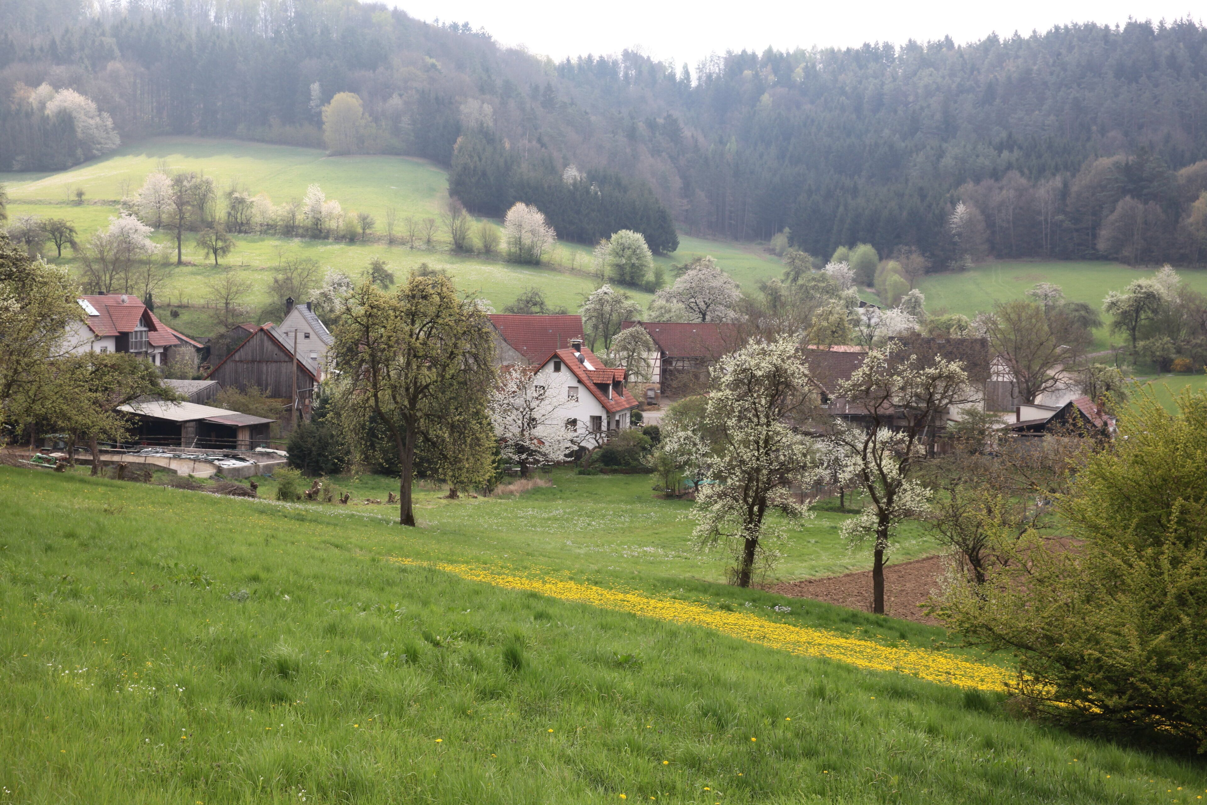 Kümmel bei Ebensfeld, Landkreis Lichtenfels