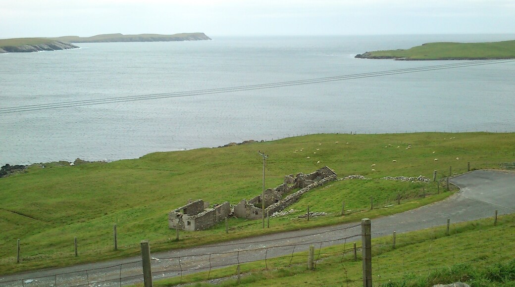 Shetland
