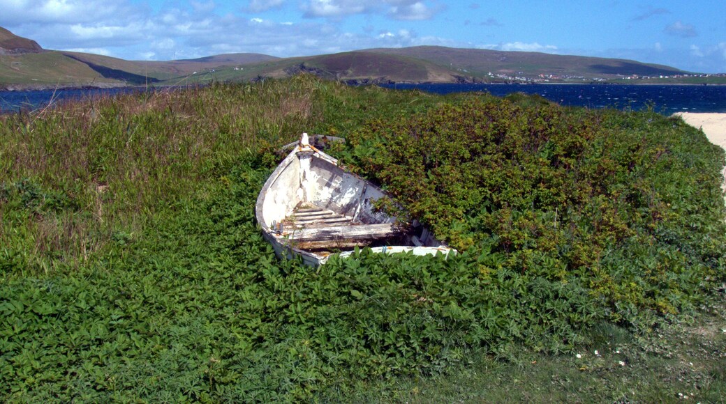 Abandoned boat next to Levenwick beach.