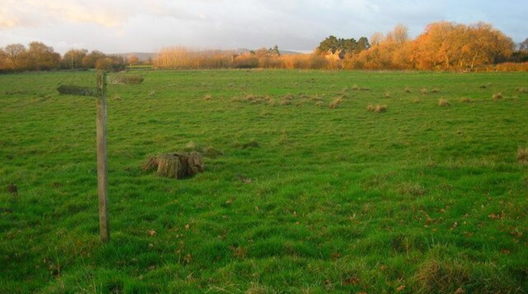 Morning Light on Locks Farm Viewed from the footpath that links Partridge Green to the River Adur.