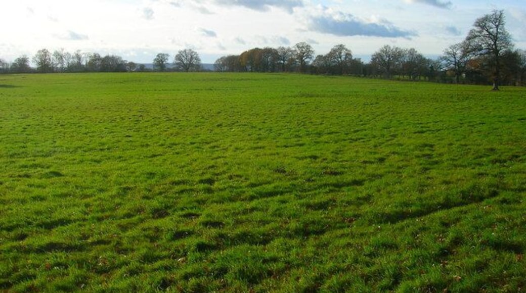 Field near Partridge Green View south from Shermanbury Road with the South Downs in the distance.