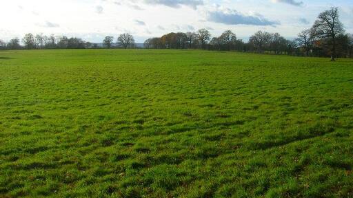 Field near Partridge Green View south from Shermanbury Road with the South Downs in the distance.