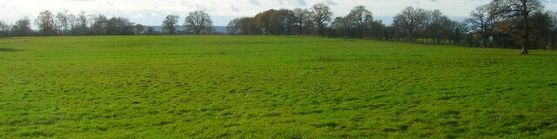 Field near Partridge Green View south from Shermanbury Road with the South Downs in the distance.