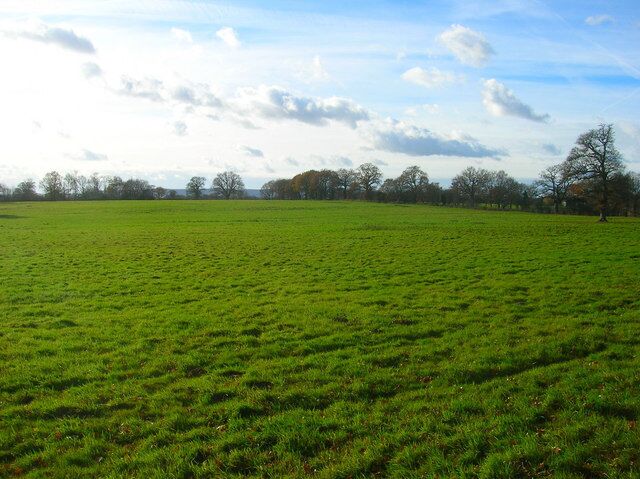 A vast green field with a line of trees in the distance under a partly cloudy sky.