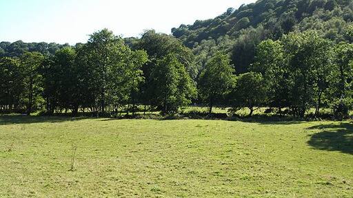 North Molton: the Bray valley Towards Reapham Wood, where the Tarka Trail runs. Trees on the flood plain stand on the river's banks