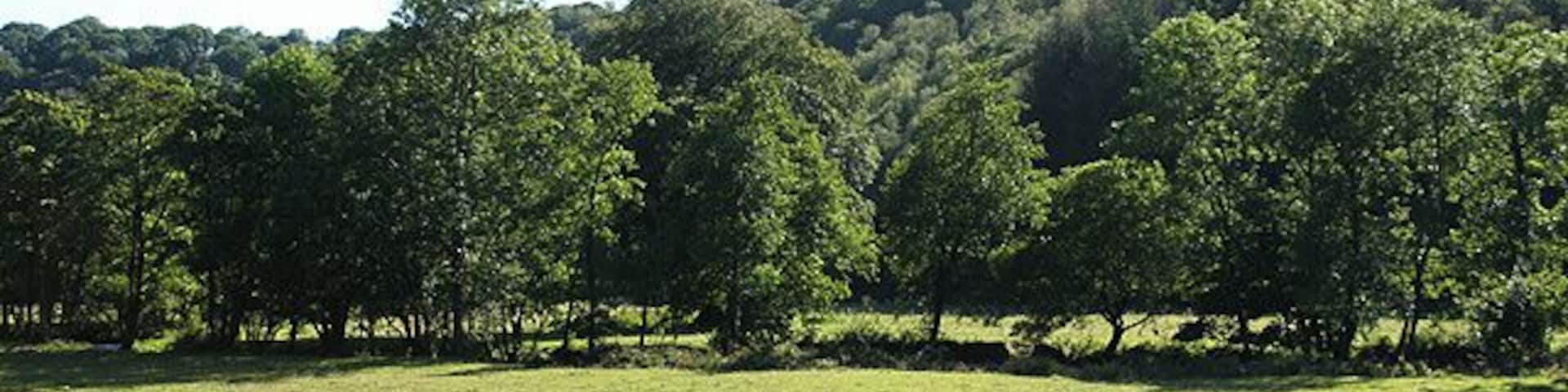 North Molton: the Bray valley Towards Reapham Wood, where the Tarka Trail runs. Trees on the flood plain stand on the river's banks