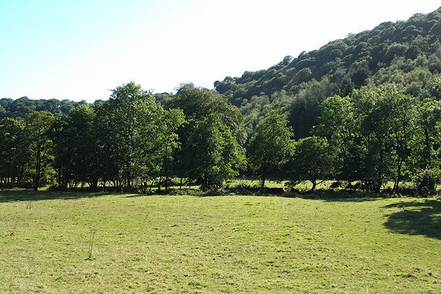 A grassy field with trees and a hill in the background.