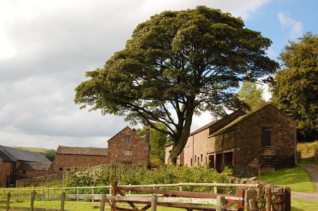 Paisaje rural con un gran árbol, edificios de piedra y una valla de madera.