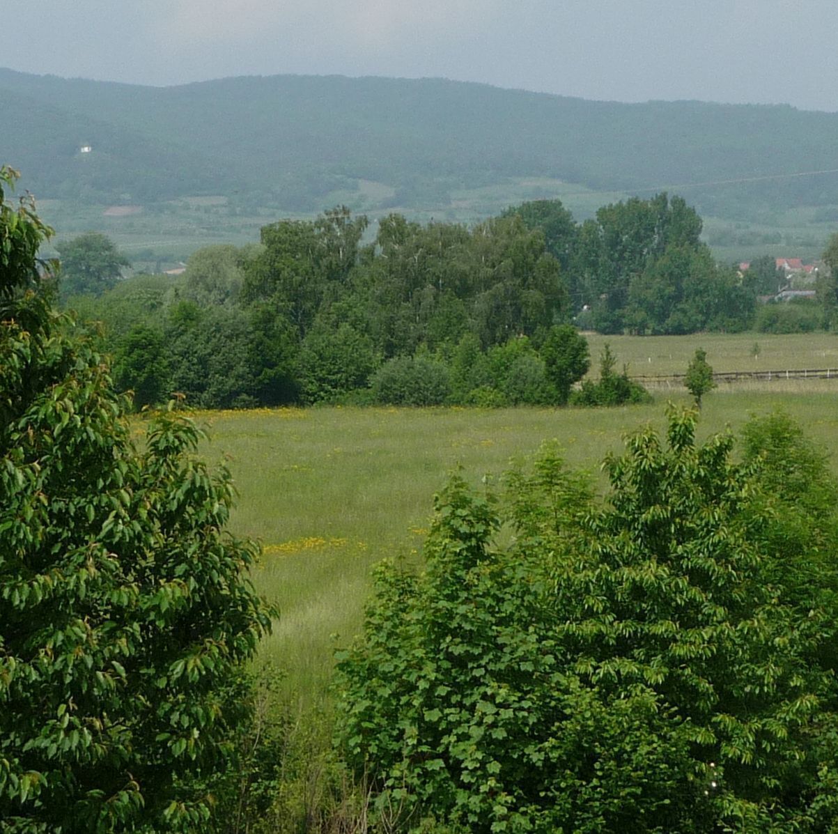 Ruppertsberg, Germany