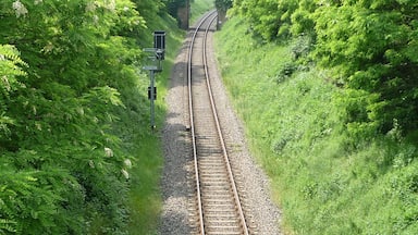 A railway track surrounded by lush greenery and a bridge in the distance.