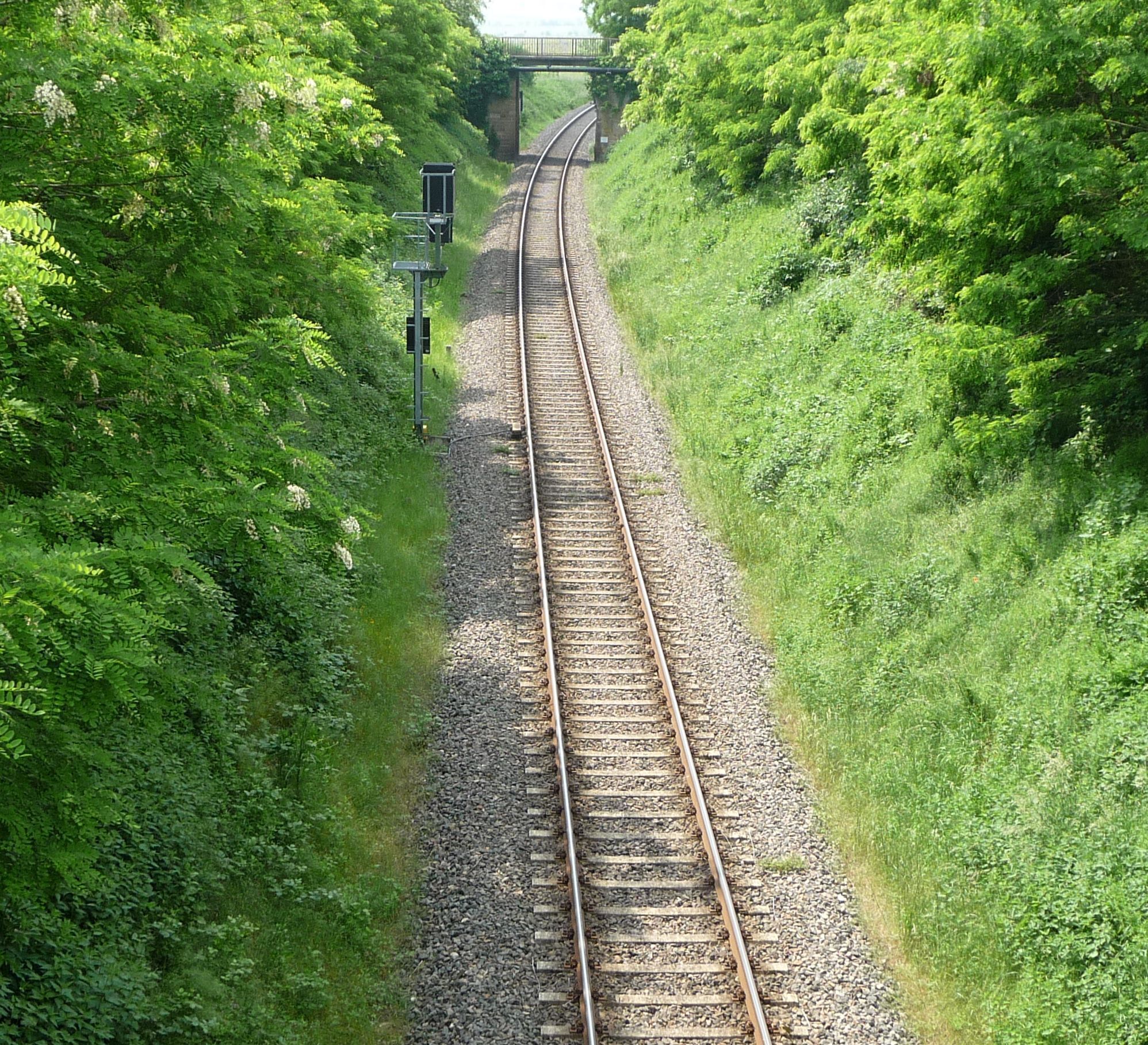 A railway track surrounded by lush greenery and a bridge in the distance.