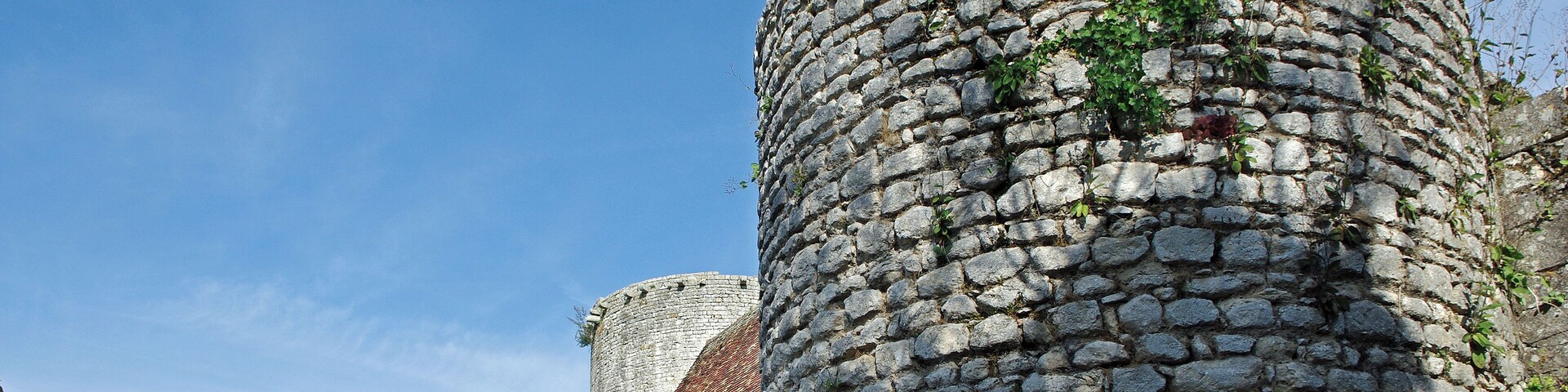 Alluyes (Eure-et-Loir) Le château féodal (XIIIe). Il était protégé par une enceinte fortifiée garnie de plusieurs tours. Le donjon a été construit sur une ancienne motte. Il mesure une trentaine de mètres de haut, son diamètre étant d'un peu plus de 14 m. Les murs peuvent mesurer jusqu'à 3 m d'épaisseur. L'accès qui s'ouvre à 9m du bas, devait déboucher sur le chemin de ronde de la muraille. Il est dans le style de construction des tours philippiennes (de Philippe Auguste); tour circulaire et voute d'ogive pour les étages. La tour d'Alluyes est sans fondements et simplement posée sur le sol. La poterne est le seul vestige de l'entrée fortifiée et du pont levis. La chapelle fut construite au XVe siècle, elle fut sanctifiée en 1473. Grégoire de Tours, dans ses annales (chap. 44), rapporte que Chilpéric, poursuivi par Sigebert et Gontran en 576, se retrancha dans le Perche, à Alluye*, où il fit la paix*. (En réalité il s'agit plus probablement de Gontran et des troupes de Sigebert, ce dernier ayant été assassiné en décembre 575, à moins qu'il ne s'agisse pas de 576, mais de 574). Vers 849, les Normands ayant détruit l'abbaye de Saint Père, Hélie, évêque de Chartres les repoussa, et pour remercier des militaires qui l'avait servi, leur donna des possessions de cette abbaye qui sont les bourgs d'Alluye, Brou, Authon, La Bazoche, et Monmirail. Qui seront plus tard les cinq baronnies du Perche Gouët (Histoire de Chartres). Un certain Hugues, seigneur d'Alluye est mentionné comme témoin d'une donation faites par Leudegarde de Vermandois à l'abbaye de Saint-Père-en-Vallée de Chartres, le 5 février 978. C'est le premier seigneur d'Alluyes dont on ait la trace écrite*. Il était peut-être vassal de Leudgarde de Vermandois, veuve de Thibaud "le Tricheur" comte de Blois, Chartres et tours, mais aussi de l'évêque de Chartres. Au milieu du XIe siècle un seigneur local du nom de Guillaume Gouët, seigneur de Montmirail, Authon et La Bazoche, se marie avec Mathilde d’Alluye*, dame de Brou et d'Alluye, et devient par cette union également seigneur d’Alluye et Brou*. Guillaume II Gouët dit "Le Vieux"*, fils de Mathilde d'Alluye et Guillaume Gouët, succédera comme seigneur d'Alluyes. Puis Guillaume III Gouët d'Alluye dit "Le Jeune", fils du précédent et de Eustachie Crespon. Guillaume IV Gouët d'Alluye, fils du précédent, laissera une héritière: Mathilde d’Alluyes (1153 à Tours - après 1180) qui épousera Henri ou Hervé III de Donzy* en 1169 (c'est le troisième mariage du baron de Donzy). Après la mort de Mathilde d'Alluyes en 1180, Alluyes passera dans la famille Donzy par son époux Hervé III baron de Donzy. On peut très probablement attribuer à Hervé IV de Donzy* (comte de Nevers, seigneur de Cosne, seigneur de Saint-Aignan-sur-Cher), la mise en eau des fossés du château et de la basse-cour par détournement du cours du Loir*. Agnès de Donzy (1202 - 1225) succédera à son père Hervé IV. Seule héritière, elle épousera Philippe de France, fils du futur roi de France Louis VIII dit "Le Lion"*. Philippe mort un an après son mariage, Agnès se remariera avec Guy III de Châtillon*. Elle mourut en couches de son deuxième enfant, Gaucher de Châtillon qui survécut. La construction du donjon débute probablement vers 1230. Les constructions semblent être achevéée avant 1250, par Gaucher de Châtillon. Gaucher de Châtillon perdit la vie à Damiette en 1250. La soeur de Gaucher de Châtillon mourut en 1254 et laissa le Perche-Gouët à sa fille Mahaut. Mahaut (Mahaut II de Dampierre) épousa Eudes fils du duc de Bourgogne en 1248. Elle mourut en ayant suivi son époux à la croisade, à Saint-Jean d-Acre, en 1262. Eudes à son tour meurt, le 4 août 1266. La cadette des filles, Marguerite (Marguerite de Bourgogne) hérite du titre de comtesse de Tonnerre et hérite du Perche-Gouët et d'autres fiefs (L'aînée est faite comtesse de Nevers, la puinée devient comtesse d'Auxerre). Marguerite de Bourgogne (1250-1308) épousa en 1268, Charles de France, comte du Maine, d'Anjou, et de Provence. Il était frère de Saint-Louis. Avec l'accord du Pape, Charles fit assassiner le prétendant au royaume de Sicile et devint roi de Sicile sous le nom de Charles Ier. Marguerite s'installa à Naples. Le lundi de Pâques 1282 (30 mars), à l'heure des Vêpres, une révolte éclate à Palerme, 8000 soldats français sont massacrés et Charles est chassé de l'île. Il s'en suivit une séparation du royaume de Sicile en deux parties : La Sicile insulaire et le royaume de Naples péninsulaire*. Charles meurt à Foggia en Italie, en 1285, Marguerite retournera dans son domaine de Tonnerre ou elle décèdera le 4 septembre 1308. Par testament, elle cède ses cinq baronnies (Alluyes, Brou, Authon, La Bazoche et Montmirail), à son neveu Robert de Cassel*. De 1342 à 1418, Alluye passera chez les comtes de Bar, par alliance (en 1340) de Yolande de Cassel (Yolande de Flandre-Cassel) avec Henri IV comte de Bar et seigneur de Puisay. Robert Ier de Bar succédera comme seigneur du Perche-Gouët (Alluyes, Brou, Montmirail, Auton, La Bazoche) et autres lieux. Un Jean de Bar, seigneur d'Alluye et autres lieux, fut tué à Azincourt le 25 octobre 1415. Pendant la Guerre-de-Cent-Ans, le château fort a été occupé par les Anglais*. Louis de Luxembourg*, seigneur d'Alluye par sa femme Jeanne de Bar, ayant adhéré à la cause anglaise, sera dépossédé du château au profit de Charles V d'Anjou. Celui-ci y recevra Louis XI en 1463 et fera bénir la chapelle castrale, Saint-Nicolas, en 1479. A la Renaissance, en 1505, Florimond Robertet d'Alluyes (1457-1533), Trésorier de France du roi Charles VIII, Secrétaire d'etat sous Louis VII, puis administrateur du royaume sous François 1er, acquiert les baronnies d’Alluyes et de Brou. Il fera rénover le château. Bien qu'enrichit considérablement par les rois qu'il servit, Florimond Robertet mourut paisiblement dans son lit, ce qui était rare à l'époque pour un secrétaire au Trésor*. Les Robertet se succéderont, puis le fief d'alluyes passera par héritage, chez les Babou de la Bourdaisière*. A la fin du XVIe siècle, Henri IV, rencontra à Alluyes la belle Gabrielle d'Estrées, arrière-petite-fille de Florimond Robertet. A partir de 1591, il revint plusieurs fois à Alluyes pour rendre visite à sa maîtresse. Henri IV fit de la baronnie d'Alluyes un marquisat. C'est Isabelle Babou qui obtint en 1603 que la baronnie d'Alluyes fut érigée en marquisat (et la châtellenie d'Auneau en baronnie). Un descendant des Babou serait Louis XV, d'après lui-même* Isabelle Babou, fille de Jean Babou et Françoise Robertet, dame d'Alluyes, était l'épouse de François d'Escoubleau, marquis de Sourdis. Le 30 octobre 1633, le maréchal de Châtillon remit les gouvernements d’Orléans , du pays Chartrain , du Blaisois , du Vendômois , & du Dunois ,entre les mains de sa majesté , qui en pourvut M. Charles d’Escoubleau , chevalier des ordres du roi , marquis de Sourdis & d’Alluye , & y ajouta le château d'Amboise (Histoire de Chartres). En 1679, à l'apogée du règne de Louis XIV, éclatait la sordide affaires des poisons. Parmi "la clientèle des officines de poison et de mort, les accusés ne faisaient pas que mentionner quelques blanchisseuses, fripières, vinaigrières ou cabaretières, battues par leur ivrogne de mari, voire quelques gentilshommes déclassés tombés dans la débauche, mais de puissants et riches robins, membres des cours souveraines, des gens titrés, nobles de vieille souche, aristocrates de haut rang, et parmi eux les plus grands noms de France : Olympe Mancini,(...) la princesse de Tingry, les duchesses d’Angoulême, de Bouillon, de Vitry, de Vivonne, le maréchal-duc de Luxembourg, les ducs de Vendôme et de Brissac, la marquise d’Alluyes, les marquis de Cessac, de Feuquières et de Termes, la comtesse du Roure, la vicomtesse de Polignac…"(L'affaire des Poisons - Jean-Christian Petitfils). La baronnie d'Alluye, devenu marquisat sous François d'Escoubleau, restera dans la famille pendant plus de 100 ans, puis sera vendue par décret à Jean, marquis de Gaffion*. Sa fille Jeanne de Gaffion, comtesse de Peyre par alliance*, lui succédera a la mort de son frère Pierre. En 1790, à la Révolution, les cinq baronnies du Perche-Gouët disparaissent avec la création des départements. Le Perche-Gouet est éclaté entre trois départements, la plus grande partie en Eure-et-Loir, quelques villages vont à la Sarthe et quelques petits villages du sud sont rattachée au Loir-et-Cher. Le château d'Alluyes est aujourd'hui propriété d'une association. Grégoire de Tours nomme ce bourg "Avallocium". Le cartulaire de Saint Père du XIe siècle le nomme "Allogia". A la mort de Clotaire Ier, le royaume des Francs est partagé entre ses fils: Sigebert, Gontran, Caribert et leur demi-frère Chilpéric (fils de Clotaire avec sa seconde épouse). Le règne de Chilpéric est occupé par des conflits avec ses frères. En 584 Chilpéric sera assassiné, à coups de poignard, à Chelles (Seine-et-Marne), par un nommé Falco qui réussira à s'enfuir. La pierre de Chilpéric, ou Croix de Sainte-Bautheur, dans le centre de Chelles, marque l'évènement. Aparavant, en 575, Sigebert sera assassiné par des pages de Frédégonde (Epouse de Chilpéric. On attribuera à Frédégonde une demi douzaine de meurtres). Alluyes-sur-le-Loir, une des 5 baronnies du Perche-Gouët, terre attribuée par l’Empereur Charles «Le Gros» à Gérard, Evêque de Chartres vers 880. On peut donc supposer que les barons d'Alluyes étaient vassaux du diocèse de Chartres. Les 4 autres baronnies du Perche-Gouët étaient : Montmirail (la superbe), Auton (la gueuse), La Bazoche (la pouilleuse) et Brou (la noble). Alluyes étant sur nommée "la riche". Mathilde ou Mahaut d'Alluyes, fille de Gauthier, seigneur d'Alluyes. Après la mort de Guillaume, elle se remariera avec Geoffroy, baron de Mayenne, seigneur de la Chartre-sur-Loir et comte du Maine. En 1050, Montmirail et Alluye étaient encore dans des mains différentes. Peu après, Mahaut (Mathilde), dame d'Alluye et de Brou, épousa en secondes noces Gillaume Goet (Gouët) seigneur de Montmirail. Guillaume deviendra ainsi seigneur du "Petit-Perche" dit "Perche-Gouët". Guillaume fut empoisonné à Courville, en 1065, par la comtesse de Montgommery, mais n'en mourut pas. Mathilde survécu jusqu'en 1096 et se remaria avec Geoffroy baron de Mayenne. (Histoire de Chartres) Hervé III de Donzy eut à lutter successivement contre le comte de Sancerre, Louis le Jeune et le comte de Champagne. Il mit alors sous la protection du roi d'Angleterre ses châteaux de Saint-Aignan, Montmirail, Alluye, etc... Le roi de France pour tirer vengeance de ce procédé, asségea Donzy, avec l'aide du comte de Nevers, en 1170, et démolit le château. La paix revint ensuite avec la médiation du roi d'Angleterre. Hervé IV de Donzy deviendra comte de Nevers après avoir fait prisonnier Pierre II de Courtenay. Pour prix de sa libération, il forcera Pierre de Courtenay à lui accorder la main de sa fille Mathilde (Mahaut) ainsi que le comté de Nevers. On dit que le Pape ne reconnaîtra le mariage qu'après qu'Hervé eut participé à plusieurs croisades, dont celle contre les Albigeois. Hervé mourut dans son château de Saint-Aignan, empoisonné, le 21 janvier 1222. Mahaut de Courtenay se remaria avec Guy IV de Forez qui succomba en Italie lors de son retour de la croisade. Mahaut se retira à Fontevrault où elle mourut en décembre 1256. Relaté dans une charte datée de 1222, où figure pour la première fois la mention du château. "En 1096. Guillaume (Goet II) seigneur d’Alluye, considérant que les richesses de la terre conduisent ceux qui s’en servent mal, dans le fond de l'enfer, & que ceux qui les distribuent aux pauvres nécessiteux , en ' reçoivent d’éternelles récompenses, estima qu’il devoit se faire des amis des biens qu’il possédoit, afin d’être reçu à l'heure de sa mort, dans les tabernacles qui ne peuvent périr. Ce seigneur, très-illustre & de très-noble race , selon les dignités du siècle & emplois de la guerre, reconnoissant sa noblesse obscurcie par ses mauvaises oeuvres, & comme un vrai chrétien, S’humilioit & déploroit ses péchés , dont il désiroit&obtenir le pardon , prit pour son intercesseur Saint Pierre, le prince des apôtres, lui donna & aux moines de son monastère de Chartres , l'église de St. Lubin, confesseur & évêque de Chartres; laquelle église ses ancêtres avoient fait bâtir magnifiquement en la vallée de Châteaudun, & en jouissoient comme de leur patrimoine. Il leur donna aussi tous les droits honorifiques & tout ce qui dépendoit de cette église , tant dedans , que dehors; les dimes & les censives. Il permit aux nobles, ses vassaux , de donner , ou de vendre les dimes dont ils jouissoient ; comparant les choses , qu’il donnoit, avec la récompense qu’il espéroit recevoir de la bonté de Dieu , il estimoit qu’il ne donnoit rien, parce que les biens de la terre passent & prennent fin , & que les biens célestes sont éternels , d’un prix inestimable & incorruptibles; il disoit qu’il imitoit cette veuve qui offroit "duo minuta", & que, donnant en ce monde un verre d'eau froide , il espéroit que dans le ciel il lui seroit utile. Ce très-pieux seigneur , pour donner autorité à cette donation, la fit signer par Mathilde , sa mere , & la signa lui-même, avec Eustache , sa femme , Hugues & Guillaume, ses fils , encore jeunes , & autres." (Histoire de la ville de Chartres par M. Doyen - 1786) Guy III de Châtillon, époux de Agnès de Donzy, est mort d'un coup de pierre, pendant la croisade contre les albigeois, en août 1226. Louis VIII Le Lion, Roi de France de 1223 à 1226, le 8 ème capétien, épousa (le futur roi avait 13 ans et Blanche 12) Blanche de Castille, qui fut "deux fois reine": reine de France par sont mariage avec Louis VIII puis reine d'Angleterre par son remariage avec un Plantagenêt. Louis VIII était le fils aîné de Philippe Auguste (Philippe II) et le père de Saint-Louis (Louis IX). Louis VIII Le Lion ajoutera le Poitou et le Languedoc au royaume de France. Avec son père, Philippe Auguste, il participe à la lutte contre l'Angleterre. Il bat Jean-sans-Terre à La Roche-aux-Moines en 1214, mais est battu par le fils de Jean-sans-Terre, Henri III, à Lincoln en 1216. Il lance la croisade contre les albigeois en 1225-1226. Il meurt malade, sur le chemin de Paris, au retour de la croisade. Les comtes d'Anjou gardèrent le royaume de Naples jusqu'en 1442. René d'Anjou fut évincé par le roi d'aragon qui réunifia les deux siciles sous le nom de "royaume des Deux-Siciles". Robert de cassel (1278-1331) était fils de Robert III de Flandre et de Yolande de Bourgogne soeur de Marguerite de Bourgogne et comtesse de Nevers. Le Perche sera entièrement occupé à partir de la défaite de Verneuil-sur-Avre en août 1424. Thomas de Montaigu, comte de Salisbury sera nommé comte du Perche par Henri V d’Angleterre. Thomas de Montaigu qui a combattu à Azincourt, Verneuil et autres, sera tué par un boulet de canon en octobre 1428, à Meung-sur-Loire, lors du siège d'Orléans. L'occupation durera 25 ans. Louis de Luxembourg-Saint-Pol (fait connétable de Saint-Pol par Louis XI) fut condamné à mort, pour lèse-majesté, par le Parlement le 19 décembre 1475, et décapité sur la place de Grève de Paris le même jour. Louis de Luxembourg qui soutenait le roi de France, apportait également son aide au duc de Bourgogne allié de l'Angleterre. En réalité cet intrigant ne jouait que pour lui-même. Lassé de ses intrigues, le roi d'Angleterre Édouard IV, donna à Louis XI la correspondance que Louis de Luxembourg lui avait adressée, et le duc de Bourgogne, Charles le téméraire le livra à Louis XI. De 1315 jusqu'à 1522, de Louis X le Hutin jusqu'à François Ier, sur les 12 secrétaires aux finances qui se sont succédés, 8 furent pendus ou assassinés, 3 furent condamnés à l'exil ou la prison. Seul Florimond ne fut pas inquiété, pendant 40 ans. Françoise Robertet avait épousé en premières noces Jean Babou de la Bourdaisière. De ce mariage est issu Françoise Babou de La Bourdaisière qui épousera Antoine d'Estrées. Françoise fut tuée à Issoire lors des guerres de la Ligue, en laissant 9 enfants, dont la belle Gabrielle d'Estrées qui sera favorite d'Henri IV. * Afin d'en remontrer à l'orgueil des "grands" concernant leur généalogie Louis XV aurait dit un jour :
«Sous le règne de Louis XI, vers 1470, il y avait à Bourges un honnête notaire qui s'appelait Babou. On trouva même quelque part que le père de ce notaire avait été barbier, mais cela n'est pas si constant que l'état de notaire exercé par le fils, dont il existe dans les archives du Berry, nombre d'actes signés de sa main. Babou fit fortune et acheta pour son fils, Philibert Babou, une charge de trésorier de France. Philibert devint maître d'hôtel du roi Charles VIII. Il fut père de Babou, sieur de La Bourdaisière, maître général de l'artillerie en 1539. La fille de ce La Bourdaisière fut mère de Gabrielle d'Estrées, laquelle eut pour fils naturel, César de Vendôme, marié en 1609 à l'héritière de Mercœur, et père d'Élisabeth de Vendôme, mariée à Charles-Amédée de Savoie, duc de Nemours, qui fut tué en duel par le duc de Beaufort, son beau-frère. Charles-Amédée fut père de Marie de Nemours, laquelle fut mariée à Charles-Emmanuel de Savoie, dont elle eut Victor-Amédée, duc de Savoie, roi de Sardaigne et père de Marie-Adélaïde de Savoie, mariée à Louis de France, duc de Bourgogne, dont j'ai, moi qui vous parle, j'ai l'honneur d'être le fils. Ainsi vous voyez, Messieurs, que mon dixième aïeul était, comme je vous le disais, un très digne notaire de Bourges, dont le père aurait même été barbier. Je ne le renie point, je n'en ressens aucune honte, et je vous invite tous, tant que vous êtes, à ne pas être plus difficiles que moi en arbres généalogiques.» Il s'agit de Jean de Gaffion (Gassion), marquis de Gaffion & d'Alluye, comte Montboyer, baron d'Andaux, maréchal de camp des armées du roi, gouverneur de Dax & de Saint-Sever, nommé chevalier des ordres du saint-Esprit (ouf!) en 1743. Mort le 20 juin 1746 à Pau, âgé de 63 ans. Il avait épousé la fille du garde des sceaux, Marie-Jeanne Fleuriau d'Armenonville. Sa fille Jeanne deviendra dame d'Alluyes à la mort sans enfant de son frère Pierre. Eymard-Henri de Moret, Chevalier, Comte de Peyre, etc... , qui avait épousé Jeanne de Gaffion en 1733. Il mourut le 21 janvier 1739. Leur fils, Jean-Henri, né le 6 septembre 1737, héritier d'une fortune colossale par son père (indirectement, celle de César de Grolée, comte de Peyre, sans enfants), n'ayant pas eu d'épouse ni d'héritiers, fit transmettre l'ensemble de ses biens à une parente éloignée, Marie-Charlotte de Cassagne-Beaufort de Miramon, épouse du comte François-Félix du Plessis-Châtillon. www.richesheures.net/epoque-6-15/chateau/28alluyes-histor... www.perche-gouet.net/histoire/immeubles.php?immeuble=1821 provincehistorique.over-blog.com/article-les-seigneurs-du... www.westhoekpedia.org/wp-content/uploads/downloads/2012/0... maison.omahony.free.fr/ascendants/fiche%20robertet%20flor... fr.wikipedia.org/wiki/Famille_Babou_de_La_Bourdaisi%C3%A8re books.openedition.org/pur/18102?lang=fr#ftn8 books.google.fr/books?id=xWggxFQjnk0C&pg=PA110&lp...