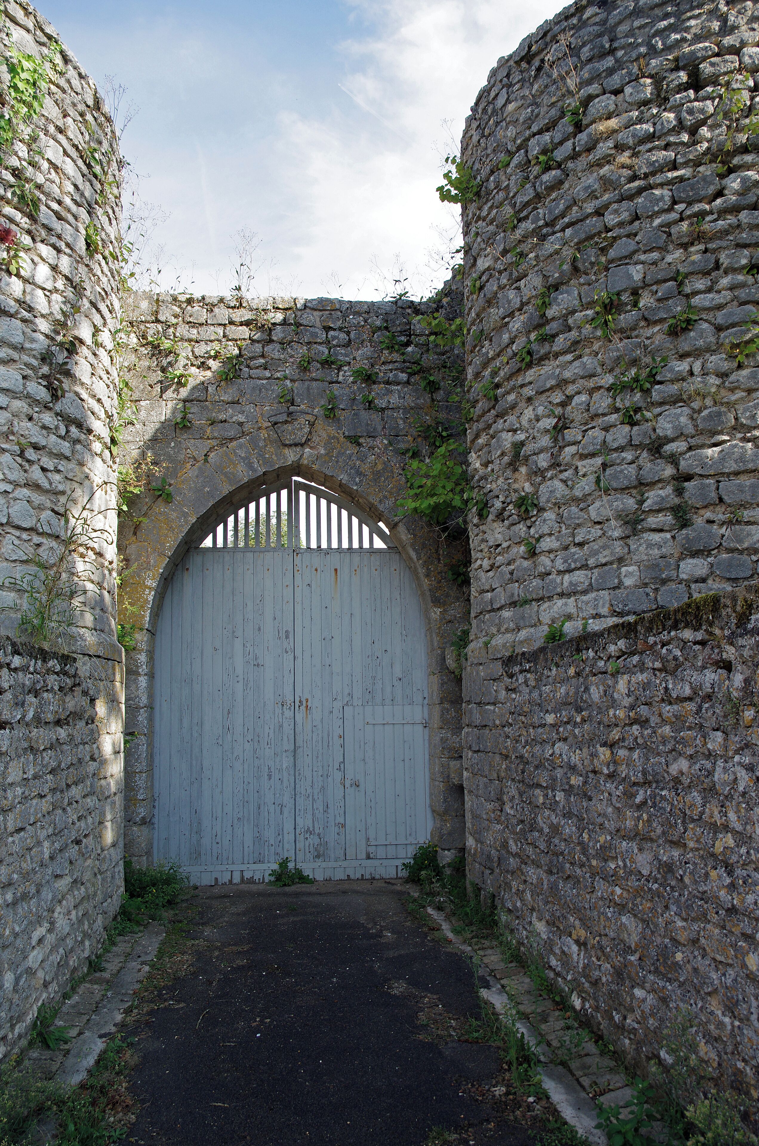 Alluyes (Eure-et-Loir) Le château féodal (XIIIe). Il était protégé par une enceinte fortifiée garnie de plusieurs tours. Le donjon a été construit sur une ancienne motte. Il mesure une trentaine de mètres de haut, son diamètre étant d'un peu plus de 14 m. Les murs peuvent mesurer jusqu'à 3 m d'épaisseur. L'accès qui s'ouvre à 9m du bas, devait déboucher sur le chemin de ronde de la muraille. Il est dans le style de construction des tours philippiennes (de Philippe Auguste); tour circulaire et voute d'ogive pour les étages. La tour d'Alluyes est sans fondements et simplement posée sur le sol. La poterne est le seul vestige de l'entrée fortifiée et du pont levis. La chapelle fut construite au XVe siècle, elle fut sanctifiée en 1473. Grégoire de Tours, dans ses annales (chap. 44), rapporte que Chilpéric, poursuivi par Sigebert et Gontran en 576, se retrancha dans le Perche, à Alluye*, où il fit la paix*. (En réalité il s'agit plus probablement de Gontran et des troupes de Sigebert, ce dernier ayant été assassiné en décembre 575, à moins qu'il ne s'agisse pas de 576, mais de 574). Vers 849, les Normands ayant détruit l'abbaye de Saint Père, Hélie, évêque de Chartres les repoussa, et pour remercier des militaires qui l'avait servi, leur donna des possessions de cette abbaye qui sont les bourgs d'Alluye, Brou, Authon, La Bazoche, et Monmirail. Qui seront plus tard les cinq baronnies du Perche Gouët (Histoire de Chartres). Un certain Hugues, seigneur d'Alluye est mentionné comme témoin d'une donation faites par Leudegarde de Vermandois à l'abbaye de Saint-Père-en-Vallée de Chartres, le 5 février 978. C'est le premier seigneur d'Alluyes dont on ait la trace écrite*. Il était peut-être vassal de Leudgarde de Vermandois, veuve de Thibaud "le Tricheur" comte de Blois, Chartres et tours, mais aussi de l'évêque de Chartres. Au milieu du XIe siècle un seigneur local du nom de Guillaume Gouët, seigneur de Montmirail, Authon et La Bazoche, se marie avec Mathilde d’Alluye*, dame de Brou et d'Alluye, et devient par cette union également seigneur d’Alluye et Brou*. Guillaume II Gouët dit "Le Vieux"*, fils de Mathilde d'Alluye et Guillaume Gouët, succédera comme seigneur d'Alluyes. Puis Guillaume III Gouët d'Alluye dit "Le Jeune", fils du précédent et de Eustachie Crespon. Guillaume IV Gouët d'Alluye, fils du précédent, laissera une héritière: Mathilde d’Alluyes (1153 à Tours - après 1180) qui épousera Henri ou Hervé III de Donzy* en 1169 (c'est le troisième mariage du baron de Donzy). Après la mort de Mathilde d'Alluyes en 1180, Alluyes passera dans la famille Donzy par son époux Hervé III baron de Donzy. On peut très probablement attribuer à Hervé IV de Donzy* (comte de Nevers, seigneur de Cosne, seigneur de Saint-Aignan-sur-Cher), la mise en eau des fossés du château et de la basse-cour par détournement du cours du Loir*. Agnès de Donzy (1202 - 1225) succédera à son père Hervé IV. Seule héritière, elle épousera Philippe de France, fils du futur roi de France Louis VIII dit "Le Lion"*. Philippe mort un an après son mariage, Agnès se remariera avec Guy III de Châtillon*. Elle mourut en couches de son deuxième enfant, Gaucher de Châtillon qui survécut. La construction du donjon débute probablement vers 1230. Les constructions semblent être achevéée avant 1250, par Gaucher de Châtillon. Gaucher de Châtillon perdit la vie à Damiette en 1250. La soeur de Gaucher de Châtillon mourut en 1254 et laissa le Perche-Gouët à sa fille Mahaut. Mahaut (Mahaut II de Dampierre) épousa Eudes fils du duc de Bourgogne en 1248. Elle mourut en ayant suivi son époux à la croisade, à Saint-Jean d-Acre, en 1262. Eudes à son tour meurt, le 4 août 1266. La cadette des filles, Marguerite (Marguerite de Bourgogne) hérite du titre de comtesse de Tonnerre et hérite du Perche-Gouët et d'autres fiefs (L'aînée est faite comtesse de Nevers, la puinée devient comtesse d'Auxerre). Marguerite de Bourgogne (1250-1308) épousa en 1268, Charles de France, comte du Maine, d'Anjou, et de Provence. Il était frère de Saint-Louis. Avec l'accord du Pape, Charles fit assassiner le prétendant au royaume de Sicile et devint roi de Sicile sous le nom de Charles Ier. Marguerite s'installa à Naples. Le lundi de Pâques 1282 (30 mars), à l'heure des Vêpres, une révolte éclate à Palerme, 8000 soldats français sont massacrés et Charles est chassé de l'île. Il s'en suivit une séparation du royaume de Sicile en deux parties : La Sicile insulaire et le royaume de Naples péninsulaire*. Charles meurt à Foggia en Italie, en 1285, Marguerite retournera dans son domaine de Tonnerre ou elle décèdera le 4 septembre 1308. Par testament, elle cède ses cinq baronnies (Alluyes, Brou, Authon, La Bazoche et Montmirail), à son neveu Robert de Cassel*. De 1342 à 1418, Alluye passera chez les comtes de Bar, par alliance (en 1340) de Yolande de Cassel (Yolande de Flandre-Cassel) avec Henri IV comte de Bar et seigneur de Puisay. Robert Ier de Bar succédera comme seigneur du Perche-Gouët (Alluyes, Brou, Montmirail, Auton, La Bazoche) et autres lieux. Un Jean de Bar, seigneur d'Alluye et autres lieux, fut tué à Azincourt le 25 octobre 1415. Pendant la Guerre-de-Cent-Ans, le château fort a été occupé par les Anglais*. Louis de Luxembourg*, seigneur d'Alluye par sa femme Jeanne de Bar, ayant adhéré à la cause anglaise, sera dépossédé du château au profit de Charles V d'Anjou. Celui-ci y recevra Louis XI en 1463 et fera bénir la chapelle castrale, Saint-Nicolas, en 1479. A la Renaissance, en 1505, Florimond Robertet d'Alluyes (1457-1533), Trésorier de France du roi Charles VIII, Secrétaire d'etat sous Louis VII, puis administrateur du royaume sous François 1er, acquiert les baronnies d’Alluyes et de Brou. Il fera rénover le château. Bien qu'enrichit considérablement par les rois qu'il servit, Florimond Robertet mourut paisiblement dans son lit, ce qui était rare à l'époque pour un secrétaire au Trésor*. Les Robertet se succéderont, puis le fief d'alluyes passera par héritage, chez les Babou de la Bourdaisière*. A la fin du XVIe siècle, Henri IV, rencontra à Alluyes la belle Gabrielle d'Estrées, arrière-petite-fille de Florimond Robertet. A partir de 1591, il revint plusieurs fois à Alluyes pour rendre visite à sa maîtresse. Henri IV fit de la baronnie d'Alluyes un marquisat. C'est Isabelle Babou qui obtint en 1603 que la baronnie d'Alluyes fut érigée en marquisat (et la châtellenie d'Auneau en baronnie). Un descendant des Babou serait Louis XV, d'après lui-même* Isabelle Babou, fille de Jean Babou et Françoise Robertet, dame d'Alluyes, était l'épouse de François d'Escoubleau, marquis de Sourdis. Le 30 octobre 1633, le maréchal de Châtillon remit les gouvernements d’Orléans , du pays Chartrain , du Blaisois , du Vendômois , & du Dunois ,entre les mains de sa majesté , qui en pourvut M. Charles d’Escoubleau , chevalier des ordres du roi , marquis de Sourdis & d’Alluye , & y ajouta le château d'Amboise (Histoire de Chartres). En 1679, à l'apogée du règne de Louis XIV, éclatait la sordide affaires des poisons. Parmi "la clientèle des officines de poison et de mort, les accusés ne faisaient pas que mentionner quelques blanchisseuses, fripières, vinaigrières ou cabaretières, battues par leur ivrogne de mari, voire quelques gentilshommes déclassés tombés dans la débauche, mais de puissants et riches robins, membres des cours souveraines, des gens titrés, nobles de vieille souche, aristocrates de haut rang, et parmi eux les plus grands noms de France : Olympe Mancini,(...) la princesse de Tingry, les duchesses d’Angoulême, de Bouillon, de Vitry, de Vivonne, le maréchal-duc de Luxembourg, les ducs de Vendôme et de Brissac, la marquise d’Alluyes, les marquis de Cessac, de Feuquières et de Termes, la comtesse du Roure, la vicomtesse de Polignac…"(L'affaire des Poisons - Jean-Christian Petitfils). La baronnie d'Alluye, devenu marquisat sous François d'Escoubleau, restera dans la famille pendant plus de 100 ans, puis sera vendue par décret à Jean, marquis de Gaffion*. Sa fille Jeanne de Gaffion, comtesse de Peyre par alliance*, lui succédera a la mort de son frère Pierre. En 1790, à la Révolution, les cinq baronnies du Perche-Gouët disparaissent avec la création des départements. Le Perche-Gouet est éclaté entre trois départements, la plus grande partie en Eure-et-Loir, quelques villages vont à la Sarthe et quelques petits villages du sud sont rattachée au Loir-et-Cher. Le château d'Alluyes est aujourd'hui propriété d'une association. Grégoire de Tours nomme ce bourg "Avallocium". Le cartulaire de Saint Père du XIe siècle le nomme "Allogia". A la mort de Clotaire Ier, le royaume des Francs est partagé entre ses fils: Sigebert, Gontran, Caribert et leur demi-frère Chilpéric (fils de Clotaire avec sa seconde épouse). Le règne de Chilpéric est occupé par des conflits avec ses frères. En 584 Chilpéric sera assassiné, à coups de poignard, à Chelles (Seine-et-Marne), par un nommé Falco qui réussira à s'enfuir. La pierre de Chilpéric, ou Croix de Sainte-Bautheur, dans le centre de Chelles, marque l'évènement. Aparavant, en 575, Sigebert sera assassiné par des pages de Frédégonde (Epouse de Chilpéric. On attribuera à Frédégonde une demi douzaine de meurtres). Alluyes-sur-le-Loir, une des 5 baronnies du Perche-Gouët, terre attribuée par l’Empereur Charles «Le Gros» à Gérard, Evêque de Chartres vers 880. On peut donc supposer que les barons d'Alluyes étaient vassaux du diocèse de Chartres. Les 4 autres baronnies du Perche-Gouët étaient : Montmirail (la superbe), Auton (la gueuse), La Bazoche (la pouilleuse) et Brou (la noble). Alluyes étant sur nommée "la riche". Mathilde ou Mahaut d'Alluyes, fille de Gauthier, seigneur d'Alluyes. Après la mort de Guillaume, elle se remariera avec Geoffroy, baron de Mayenne, seigneur de la Chartre-sur-Loir et comte du Maine. En 1050, Montmirail et Alluye étaient encore dans des mains différentes. Peu après, Mahaut (Mathilde), dame d'Alluye et de Brou, épousa en secondes noces Gillaume Goet (Gouët) seigneur de Montmirail. Guillaume deviendra ainsi seigneur du "Petit-Perche" dit "Perche-Gouët". Guillaume fut empoisonné à Courville, en 1065, par la comtesse de Montgommery, mais n'en mourut pas. Mathilde survécu jusqu'en 1096 et se remaria avec Geoffroy baron de Mayenne. (Histoire de Chartres) Hervé III de Donzy eut à lutter successivement contre le comte de Sancerre, Louis le Jeune et le comte de Champagne. Il mit alors sous la protection du roi d'Angleterre ses châteaux de Saint-Aignan, Montmirail, Alluye, etc... Le roi de France pour tirer vengeance de ce procédé, asségea Donzy, avec l'aide du comte de Nevers, en 1170, et démolit le château. La paix revint ensuite avec la médiation du roi d'Angleterre. Hervé IV de Donzy deviendra comte de Nevers après avoir fait prisonnier Pierre II de Courtenay. Pour prix de sa libération, il forcera Pierre de Courtenay à lui accorder la main de sa fille Mathilde (Mahaut) ainsi que le comté de Nevers. On dit que le Pape ne reconnaîtra le mariage qu'après qu'Hervé eut participé à plusieurs croisades, dont celle contre les Albigeois. Hervé mourut dans son château de Saint-Aignan, empoisonné, le 21 janvier 1222. Mahaut de Courtenay se remaria avec Guy IV de Forez qui succomba en Italie lors de son retour de la croisade. Mahaut se retira à Fontevrault où elle mourut en décembre 1256. Relaté dans une charte datée de 1222, où figure pour la première fois la mention du château. "En 1096. Guillaume (Goet II) seigneur d’Alluye, considérant que les richesses de la terre conduisent ceux qui s’en servent mal, dans le fond de l'enfer, & que ceux qui les distribuent aux pauvres nécessiteux , en ' reçoivent d’éternelles récompenses, estima qu’il devoit se faire des amis des biens qu’il possédoit, afin d’être reçu à l'heure de sa mort, dans les tabernacles qui ne peuvent périr. Ce seigneur, très-illustre & de très-noble race , selon les dignités du siècle & emplois de la guerre, reconnoissant sa noblesse obscurcie par ses mauvaises oeuvres, & comme un vrai chrétien, S’humilioit & déploroit ses péchés , dont il désiroit&obtenir le pardon , prit pour son intercesseur Saint Pierre, le prince des apôtres, lui donna & aux moines de son monastère de Chartres , l'église de St. Lubin, confesseur & évêque de Chartres; laquelle église ses ancêtres avoient fait bâtir magnifiquement en la vallée de Châteaudun, & en jouissoient comme de leur patrimoine. Il leur donna aussi tous les droits honorifiques & tout ce qui dépendoit de cette église , tant dedans , que dehors; les dimes & les censives. Il permit aux nobles, ses vassaux , de donner , ou de vendre les dimes dont ils jouissoient ; comparant les choses , qu’il donnoit, avec la récompense qu’il espéroit recevoir de la bonté de Dieu , il estimoit qu’il ne donnoit rien, parce que les biens de la terre passent & prennent fin , & que les biens célestes sont éternels , d’un prix inestimable & incorruptibles; il disoit qu’il imitoit cette veuve qui offroit "duo minuta", & que, donnant en ce monde un verre d'eau froide , il espéroit que dans le ciel il lui seroit utile. Ce très-pieux seigneur , pour donner autorité à cette donation, la fit signer par Mathilde , sa mere , & la signa lui-même, avec Eustache , sa femme , Hugues & Guillaume, ses fils , encore jeunes , & autres." (Histoire de la ville de Chartres par M. Doyen - 1786) Guy III de Châtillon, époux de Agnès de Donzy, est mort d'un coup de pierre, pendant la croisade contre les albigeois, en août 1226. Louis VIII Le Lion, Roi de France de 1223 à 1226, le 8 ème capétien, épousa (le futur roi avait 13 ans et Blanche 12) Blanche de Castille, qui fut "deux fois reine": reine de France par sont mariage avec Louis VIII puis reine d'Angleterre par son remariage avec un Plantagenêt. Louis VIII était le fils aîné de Philippe Auguste (Philippe II) et le père de Saint-Louis (Louis IX). Louis VIII Le Lion ajoutera le Poitou et le Languedoc au royaume de France. Avec son père, Philippe Auguste, il participe à la lutte contre l'Angleterre. Il bat Jean-sans-Terre à La Roche-aux-Moines en 1214, mais est battu par le fils de Jean-sans-Terre, Henri III, à Lincoln en 1216. Il lance la croisade contre les albigeois en 1225-1226. Il meurt malade, sur le chemin de Paris, au retour de la croisade. Les comtes d'Anjou gardèrent le royaume de Naples jusqu'en 1442. René d'Anjou fut évincé par le roi d'aragon qui réunifia les deux siciles sous le nom de "royaume des Deux-Siciles". Robert de cassel (1278-1331) était fils de Robert III de Flandre et de Yolande de Bourgogne soeur de Marguerite de Bourgogne et comtesse de Nevers. Le Perche sera entièrement occupé à partir de la défaite de Verneuil-sur-Avre en août 1424. Thomas de Montaigu, comte de Salisbury sera nommé comte du Perche par Henri V d’Angleterre. Thomas de Montaigu qui a combattu à Azincourt, Verneuil et autres, sera tué par un boulet de canon en octobre 1428, à Meung-sur-Loire, lors du siège d'Orléans. L'occupation durera 25 ans. Louis de Luxembourg-Saint-Pol (fait connétable de Saint-Pol par Louis XI) fut condamné à mort, pour lèse-majesté, par le Parlement le 19 décembre 1475, et décapité sur la place de Grève de Paris le même jour. Louis de Luxembourg qui soutenait le roi de France, apportait également son aide au duc de Bourgogne allié de l'Angleterre. En réalité cet intrigant ne jouait que pour lui-même. Lassé de ses intrigues, le roi d'Angleterre Édouard IV, donna à Louis XI la correspondance que Louis de Luxembourg lui avait adressée, et le duc de Bourgogne, Charles le téméraire le livra à Louis XI. De 1315 jusqu'à 1522, de Louis X le Hutin jusqu'à François Ier, sur les 12 secrétaires aux finances qui se sont succédés, 8 furent pendus ou assassinés, 3 furent condamnés à l'exil ou la prison. Seul Florimond ne fut pas inquiété, pendant 40 ans. Françoise Robertet avait épousé en premières noces Jean Babou de la Bourdaisière. De ce mariage est issu Françoise Babou de La Bourdaisière qui épousera Antoine d'Estrées. Françoise fut tuée à Issoire lors des guerres de la Ligue, en laissant 9 enfants, dont la belle Gabrielle d'Estrées qui sera favorite d'Henri IV. * Afin d'en remontrer à l'orgueil des "grands" concernant leur généalogie Louis XV aurait dit un jour : 
 «Sous le règne de Louis XI, vers 1470, il y avait à Bourges un honnête notaire qui s'appelait Babou. On trouva même quelque part que le père de ce notaire avait été barbier, mais cela n'est pas si constant que l'état de notaire exercé par le fils, dont il existe dans les archives du Berry, nombre d'actes signés de sa main. Babou fit fortune et acheta pour son fils, Philibert Babou, une charge de trésorier de France. Philibert devint maître d'hôtel du roi Charles VIII. Il fut père de Babou, sieur de La Bourdaisière, maître général de l'artillerie en 1539. La fille de ce La Bourdaisière fut mère de Gabrielle d'Estrées, laquelle eut pour fils naturel, César de Vendôme, marié en 1609 à l'héritière de Mercœur, et père d'Élisabeth de Vendôme, mariée à Charles-Amédée de Savoie, duc de Nemours, qui fut tué en duel par le duc de Beaufort, son beau-frère. Charles-Amédée fut père de Marie de Nemours, laquelle fut mariée à Charles-Emmanuel de Savoie, dont elle eut Victor-Amédée, duc de Savoie, roi de Sardaigne et père de Marie-Adélaïde de Savoie, mariée à Louis de France, duc de Bourgogne, dont j'ai, moi qui vous parle, j'ai l'honneur d'être le fils. Ainsi vous voyez, Messieurs, que mon dixième aïeul était, comme je vous le disais, un très digne notaire de Bourges, dont le père aurait même été barbier. Je ne le renie point, je n'en ressens aucune honte, et je vous invite tous, tant que vous êtes, à ne pas être plus difficiles que moi en arbres généalogiques.» Il s'agit de Jean de Gaffion (Gassion), marquis de Gaffion & d'Alluye, comte Montboyer, baron d'Andaux, maréchal de camp des armées du roi, gouverneur de Dax & de Saint-Sever, nommé chevalier des ordres du saint-Esprit (ouf!) en 1743. Mort le 20 juin 1746 à Pau, âgé de 63 ans. Il avait épousé la fille du garde des sceaux, Marie-Jeanne Fleuriau d'Armenonville. Sa fille Jeanne deviendra dame d'Alluyes à la mort sans enfant de son frère Pierre. Eymard-Henri de Moret, Chevalier, Comte de Peyre, etc... , qui avait épousé Jeanne de Gaffion en 1733. Il mourut le 21 janvier 1739. Leur fils, Jean-Henri, né le 6 septembre 1737, héritier d'une fortune colossale par son père (indirectement, celle de César de Grolée, comte de Peyre, sans enfants), n'ayant pas eu d'épouse ni d'héritiers, fit transmettre l'ensemble de ses biens à une parente éloignée, Marie-Charlotte de Cassagne-Beaufort de Miramon, épouse du comte François-Félix du Plessis-Châtillon. www.richesheures.net/epoque-6-15/chateau/28alluyes-histor... www.perche-gouet.net/histoire/immeubles.php?immeuble=1821 provincehistorique.over-blog.com/article-les-seigneurs-du... www.westhoekpedia.org/wp-content/uploads/downloads/2012/0... maison.omahony.free.fr/ascendants/fiche%20robertet%20flor... fr.wikipedia.org/wiki/Famille_Babou_de_La_Bourdaisi%C3%A8re books.openedition.org/pur/18102?lang=fr#ftn8 books.google.fr/books?id=xWggxFQjnk0C&pg=PA110&lp...
