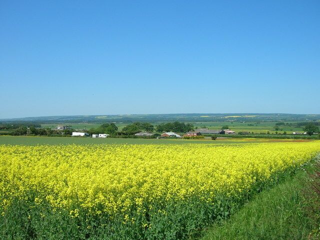 Farmland South of Willerby
