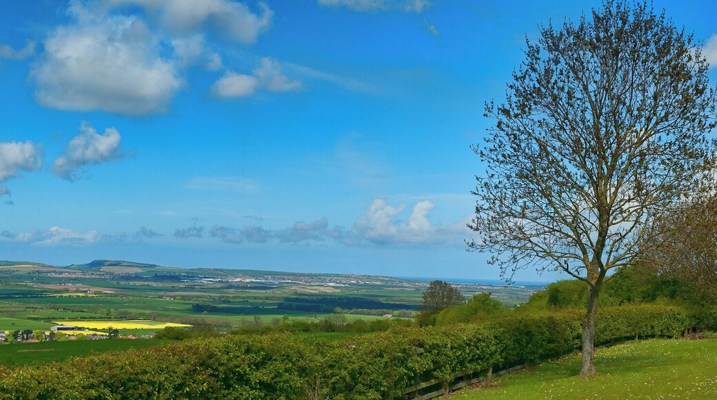 Near Staxton, North Yorkshire Become a fan on facebook