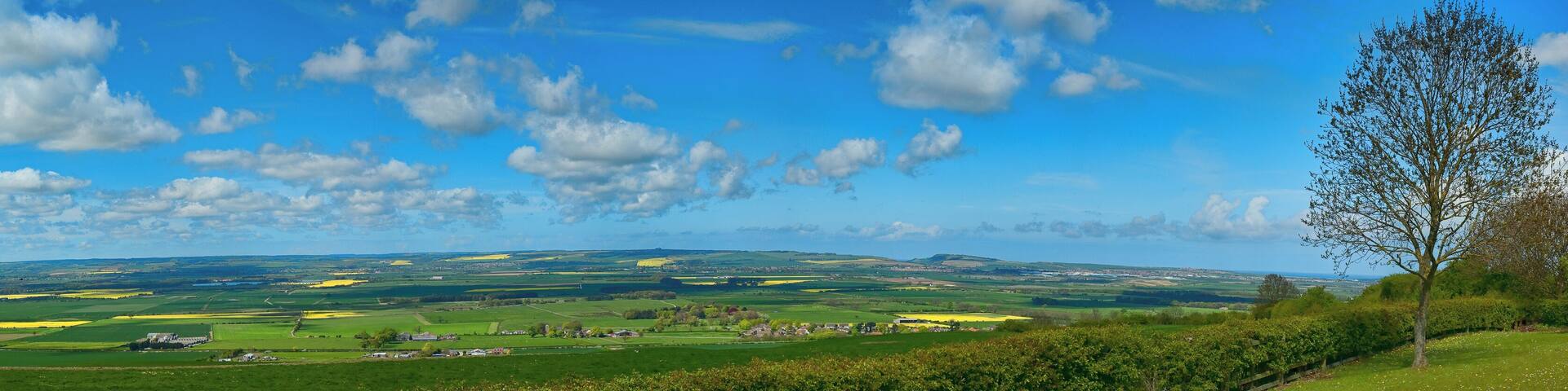 Near Staxton, North Yorkshire Become a fan on facebook