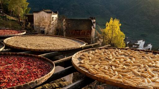篁岭晒秋人家 Traditional Farmer II Huangling village-Anhui
"人生過客匆匆,相機抓住每個剎那,與我擦肩而過的人和事"