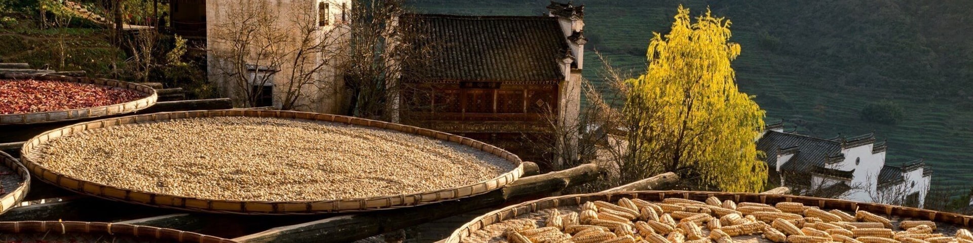 篁岭晒秋人家 Traditional Farmer II Huangling village-Anhui
"人生過客匆匆,相機抓住每個剎那,與我擦肩而過的人和事"
