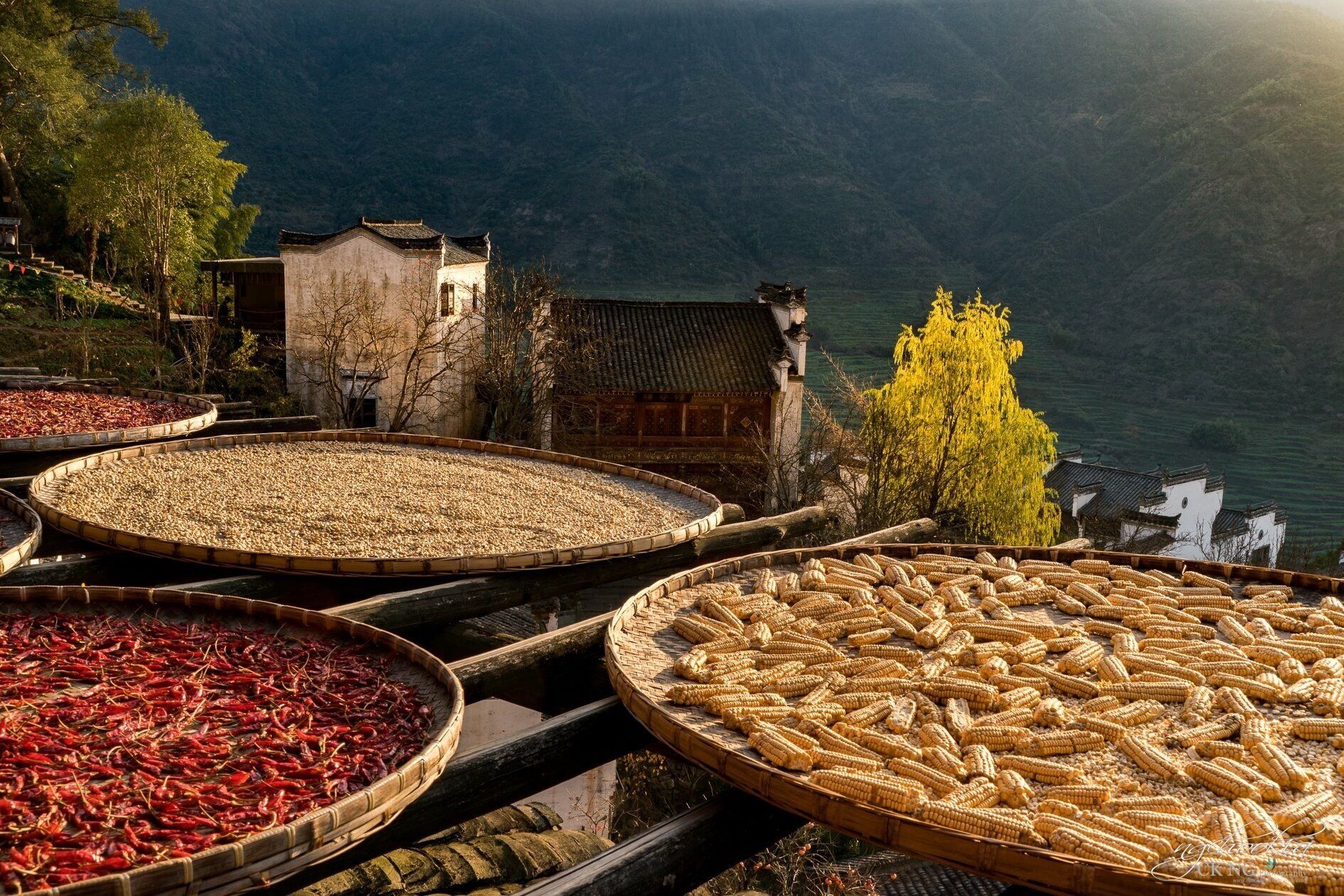 Dried corn cobs and red chili peppers in large woven baskets on a hillside with traditional buildings and a river in the background.