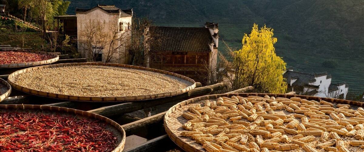 Dried corn cobs and red chili peppers in large woven baskets on a hillside with traditional buildings and a river in the background.