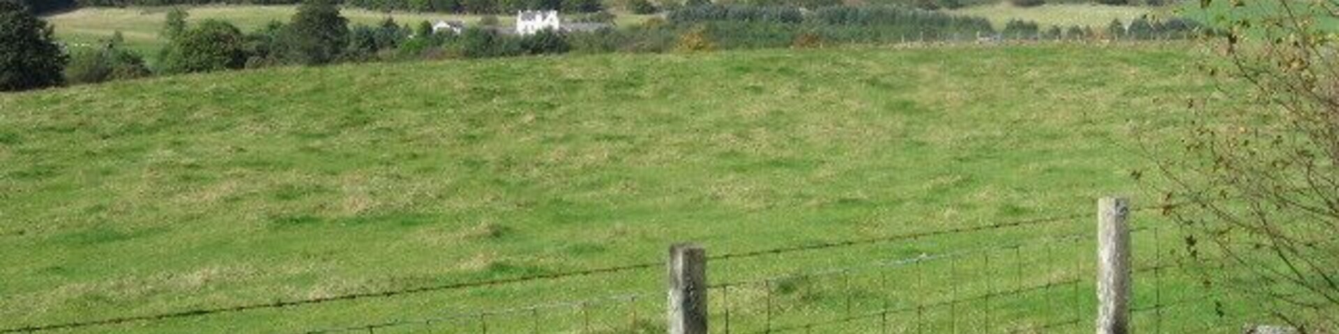 Towards Semab Hill from path near Pool of Muckhart
