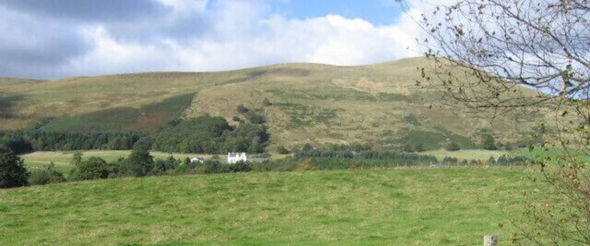 A green field with a stone wall and a wire fence.